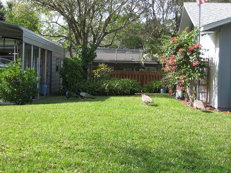 Picture 010